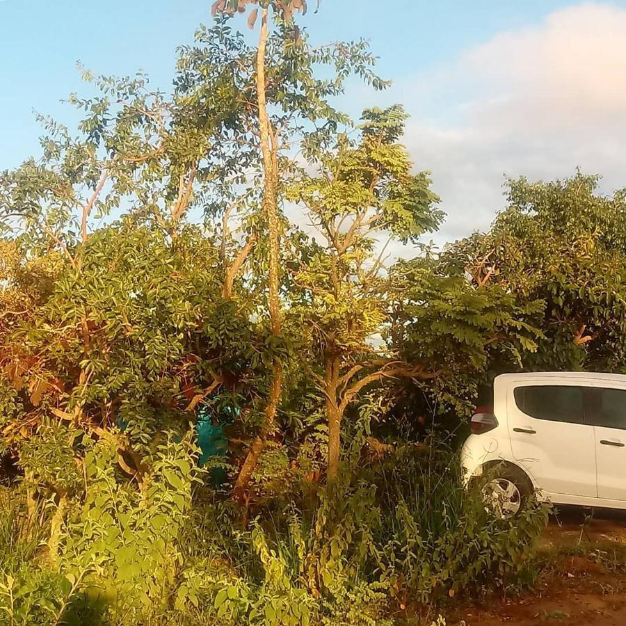 Chale Nova Aurora Villa Alto Paraíso de Goiás Eksteriør bilde