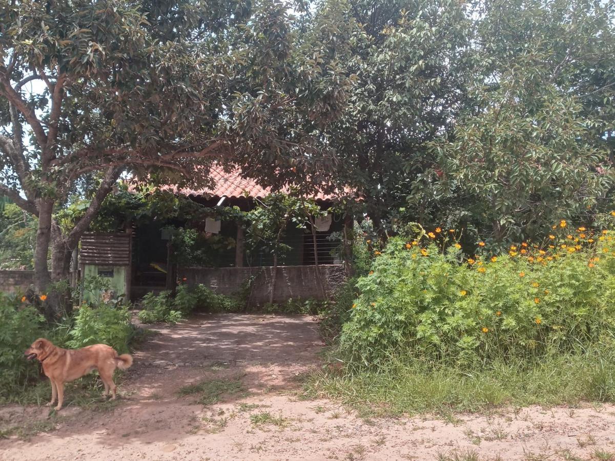 Chale Nova Aurora Villa Alto Paraíso de Goiás Eksteriør bilde